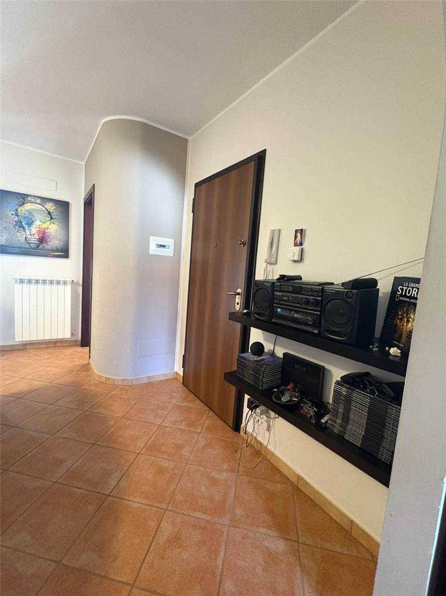 immagine annuncio 9 di 14