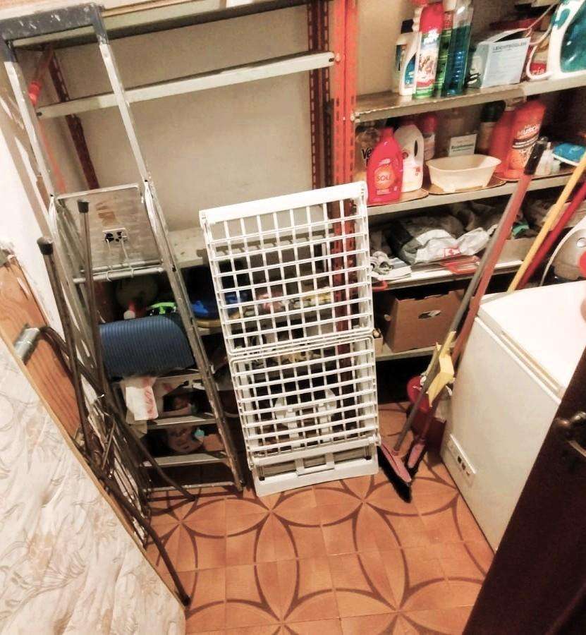 immagine annuncio 12 di 15
