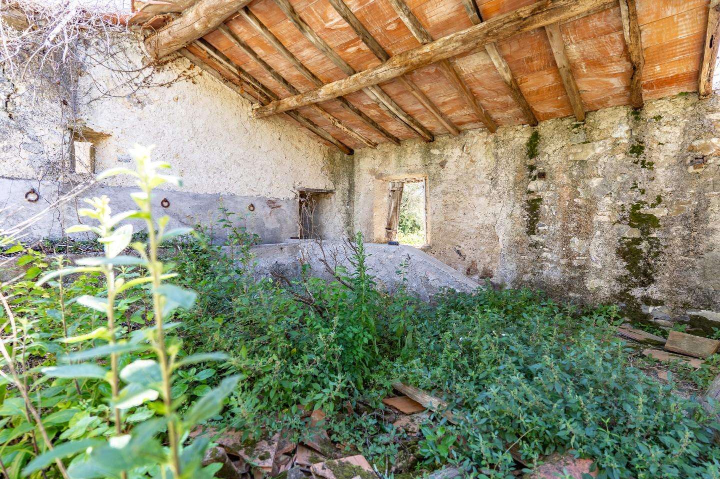  - foto 15