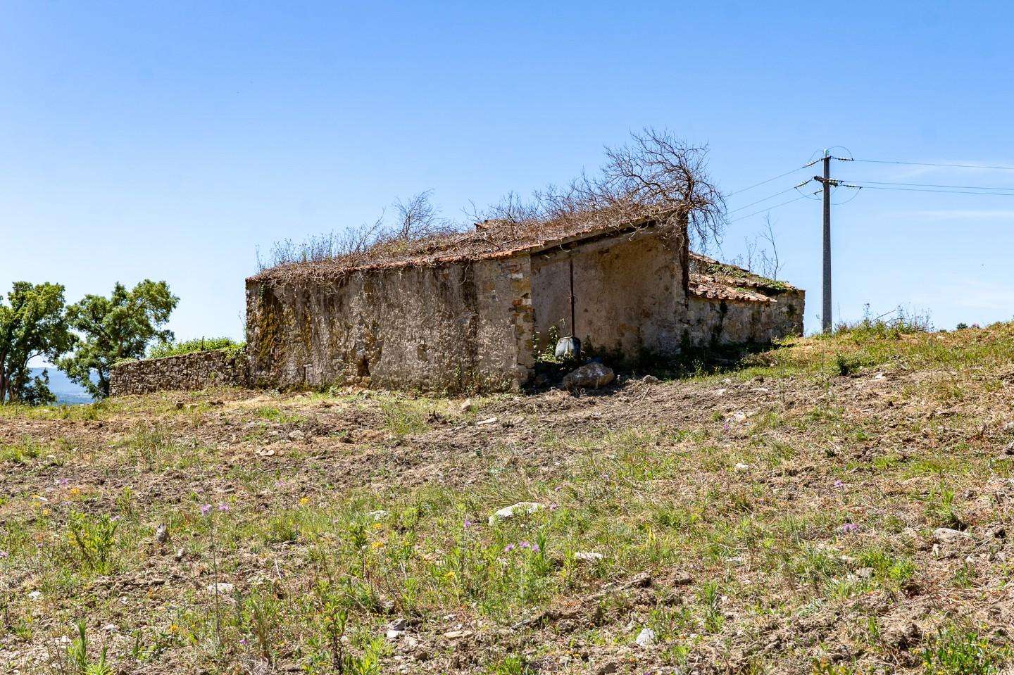 - foto 6