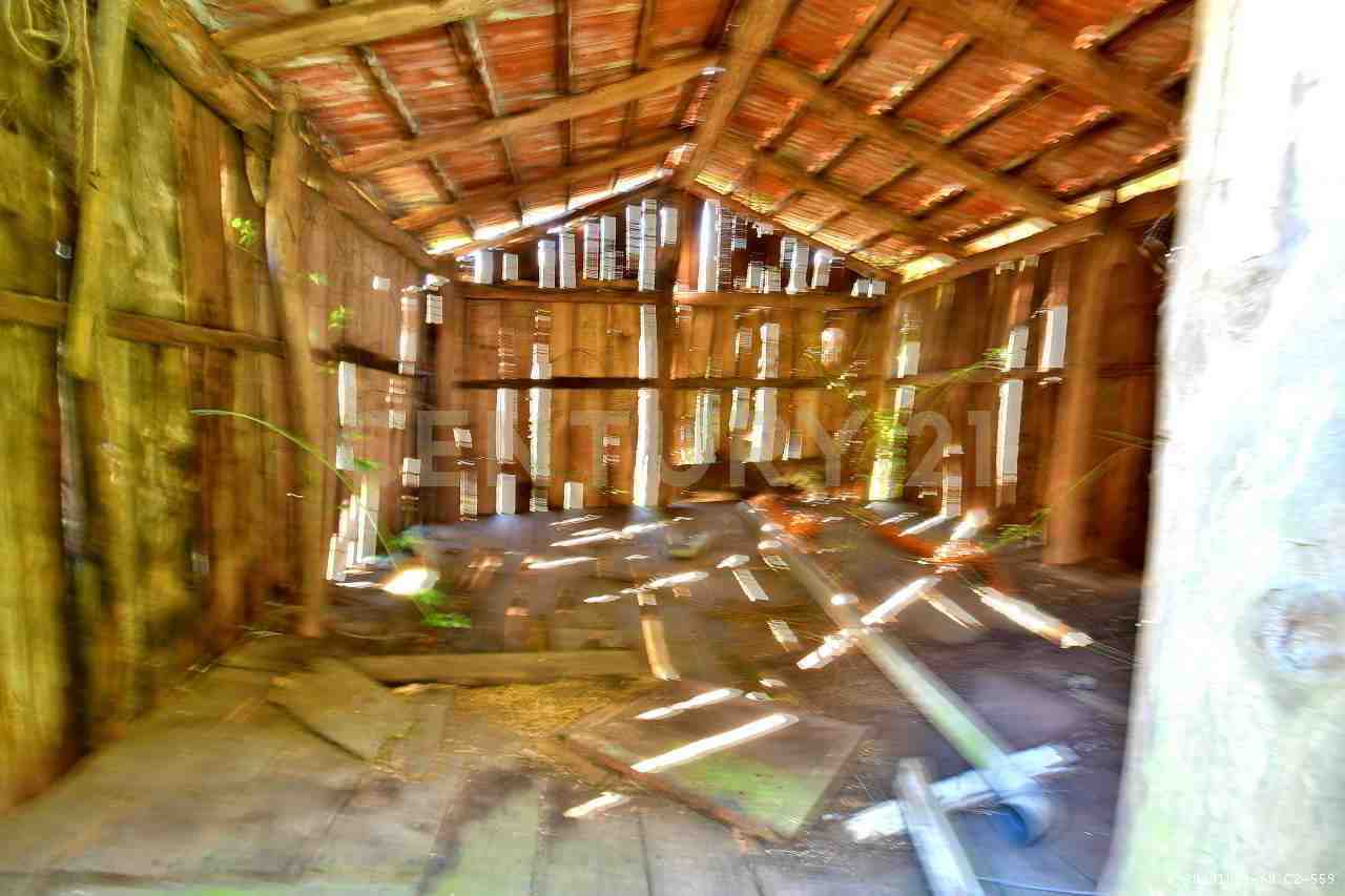 - foto 12