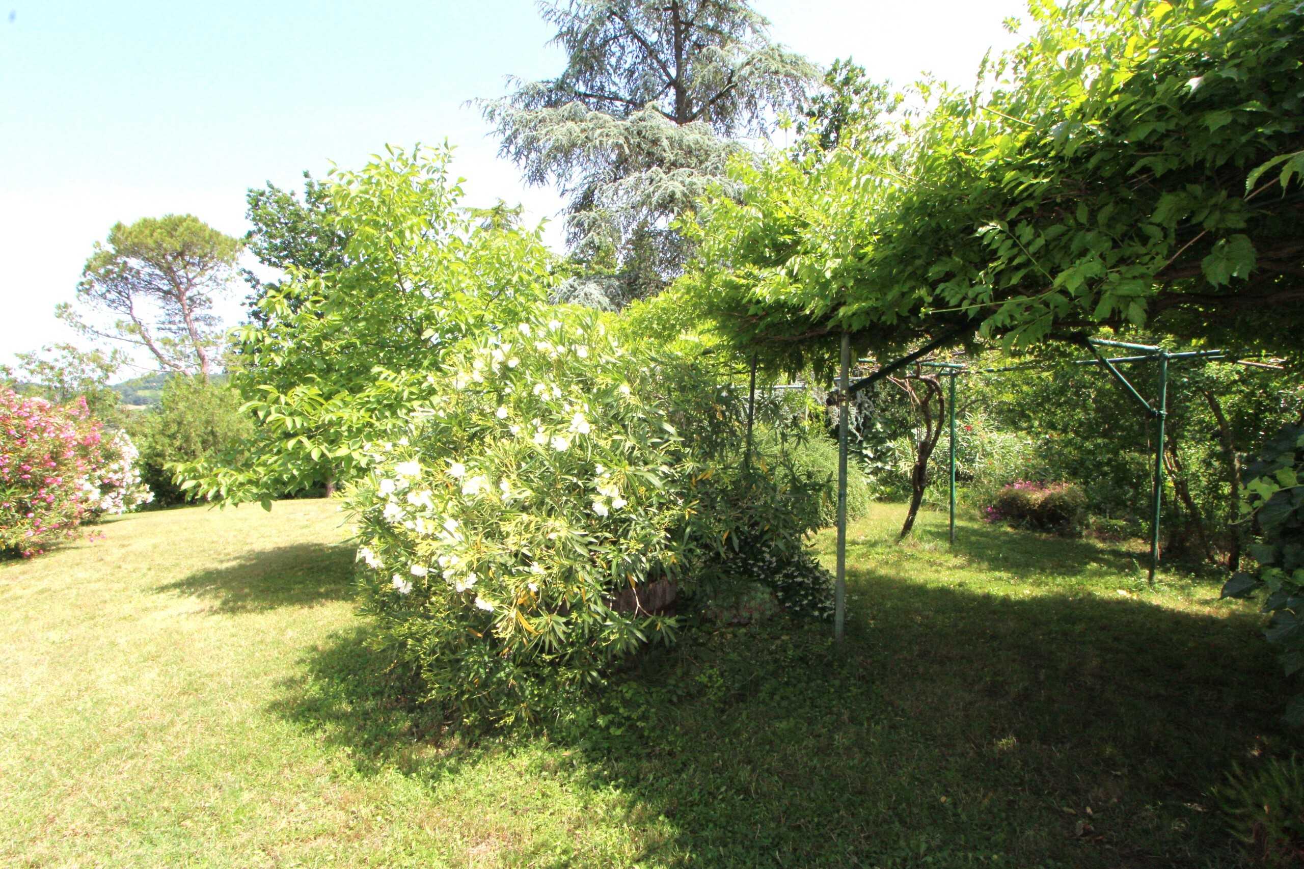  - foto 25