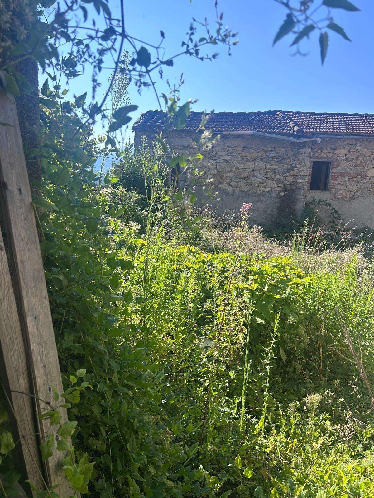  - foto 11