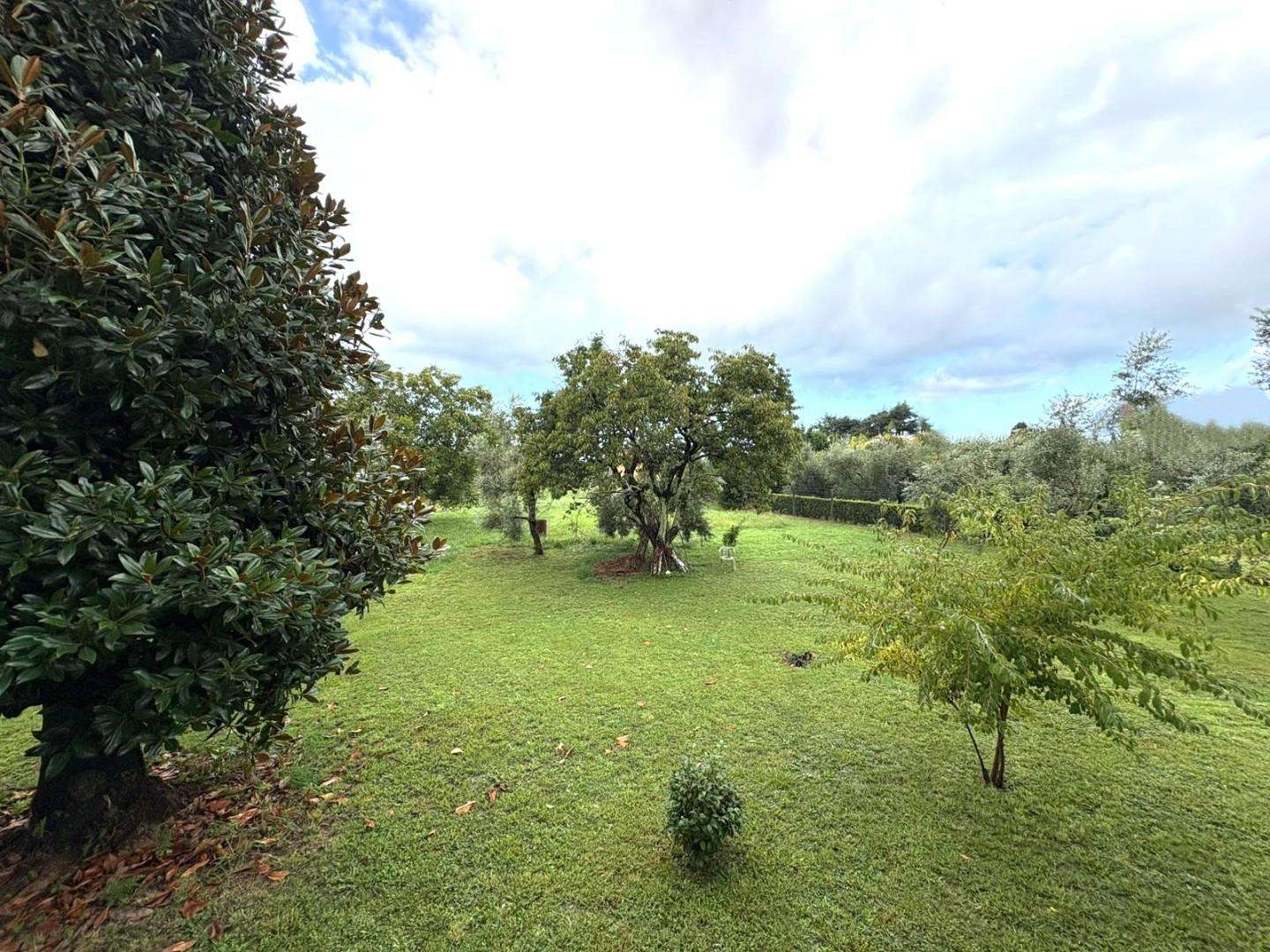 immagine annuncio 2 di 4