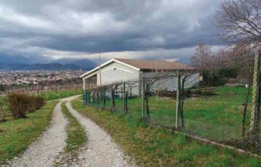 immagine annuncio 2 di 10