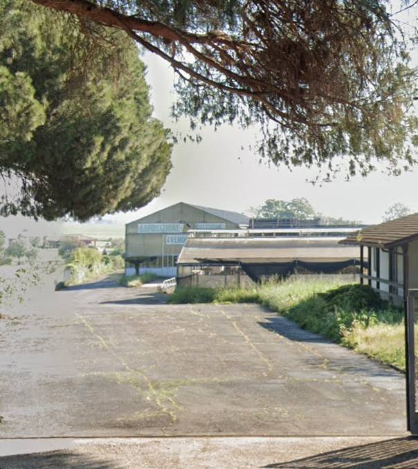 immagine annuncio 1 di 10