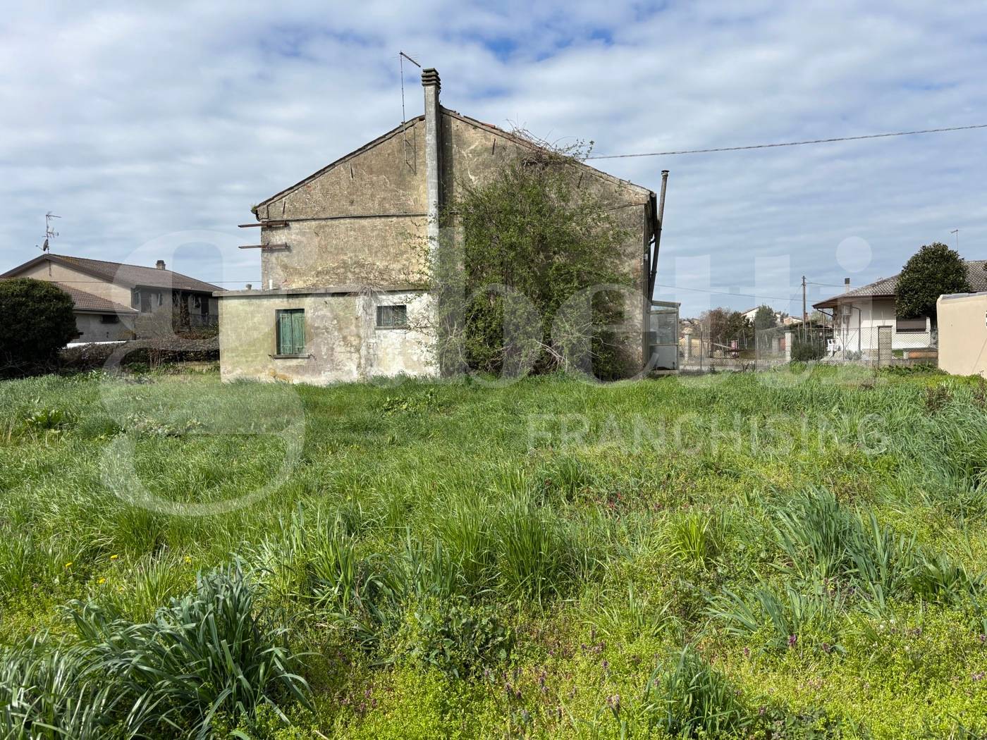 immagine annuncio 2 di 5