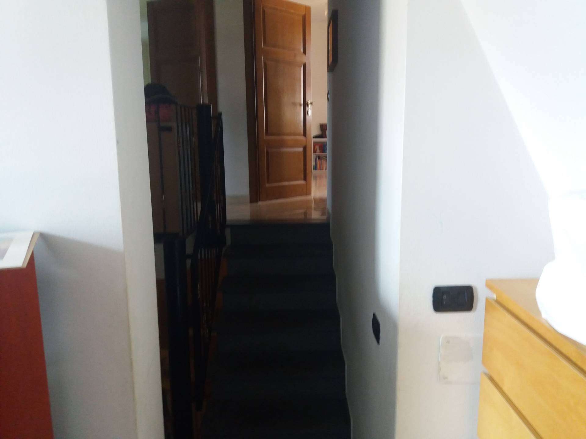  - foto 14