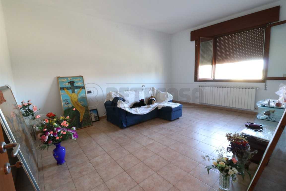  - foto 11