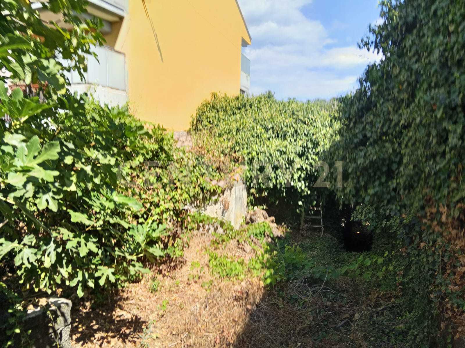  - foto 27