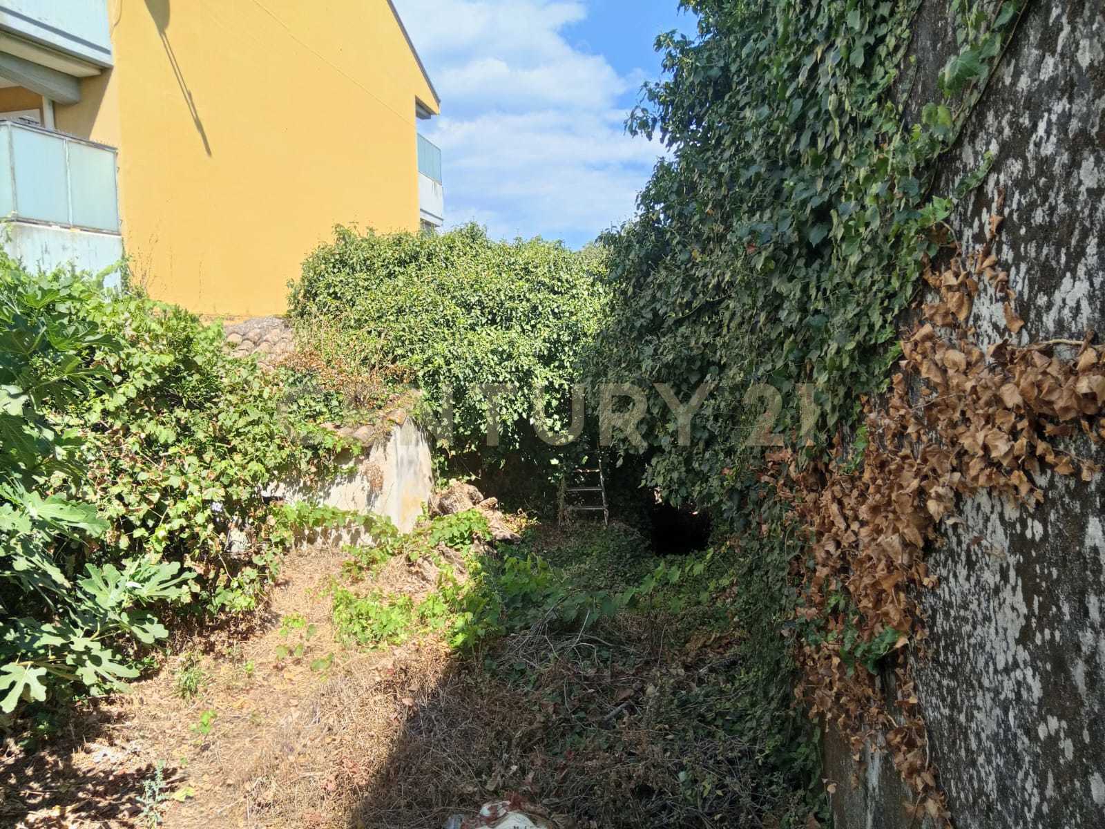  - foto 29