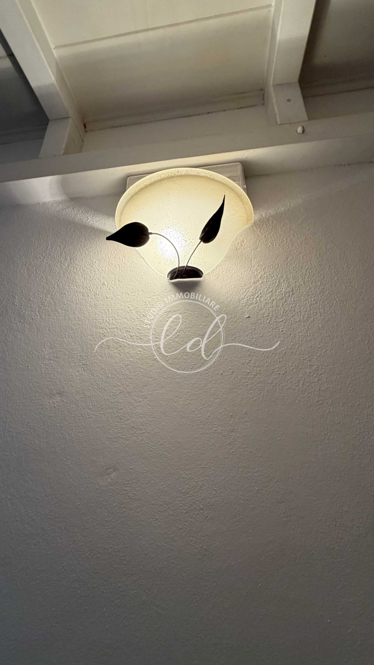  - foto 53