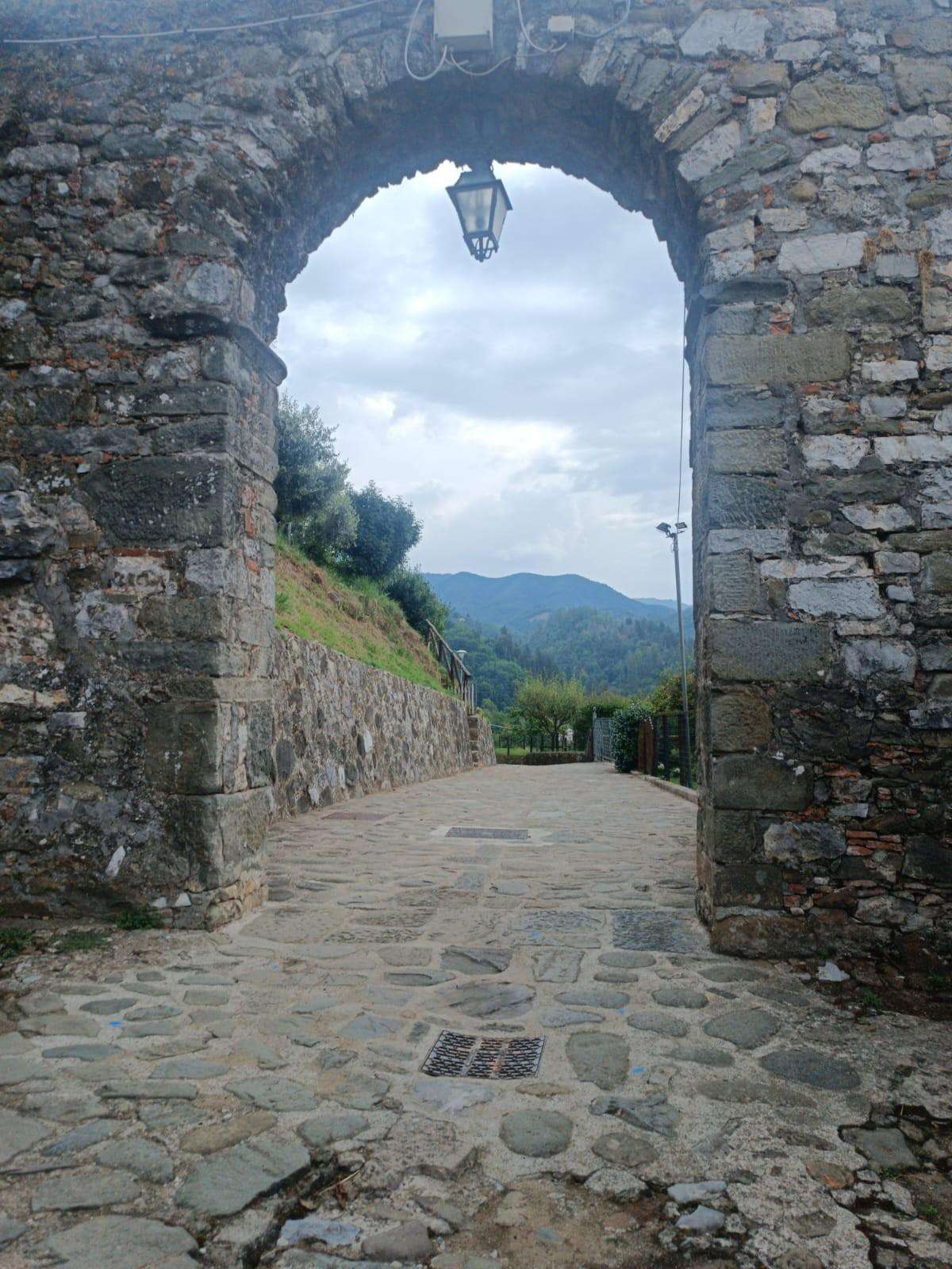  - foto 23