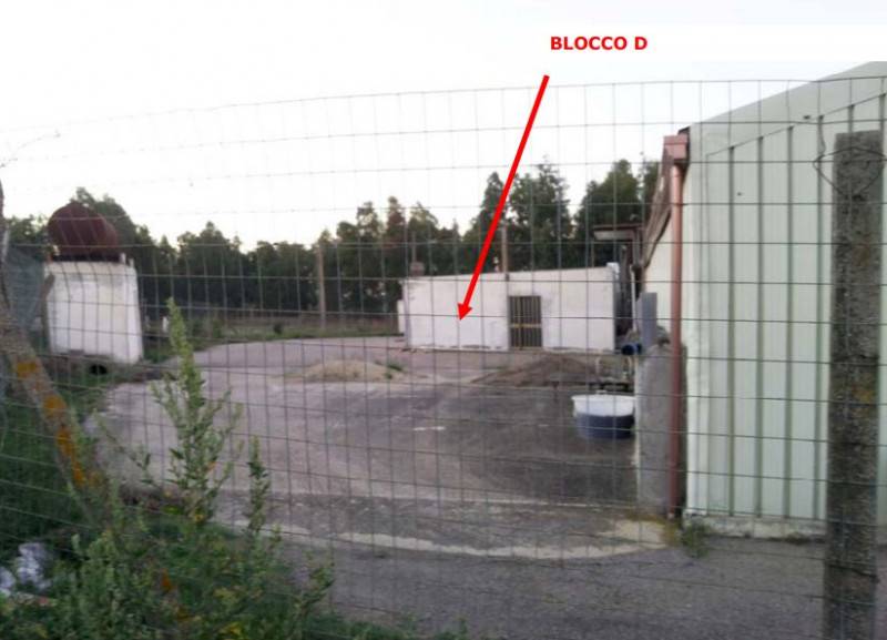 immagine annuncio 4 di 10