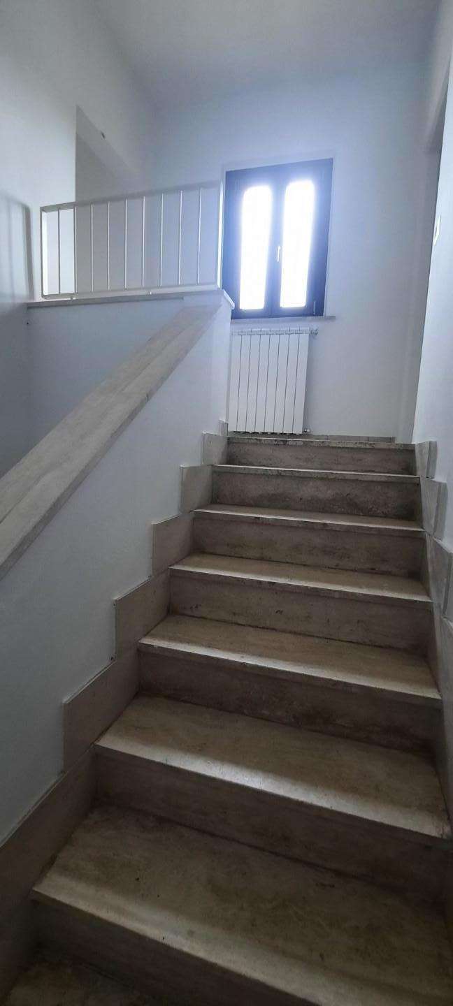  - foto 11