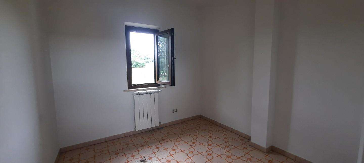  - foto 13