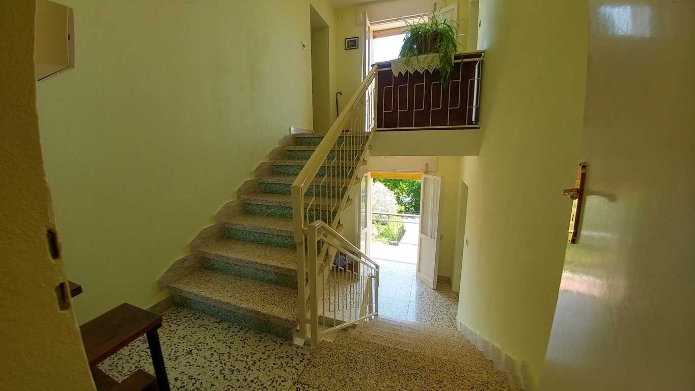  - foto 12