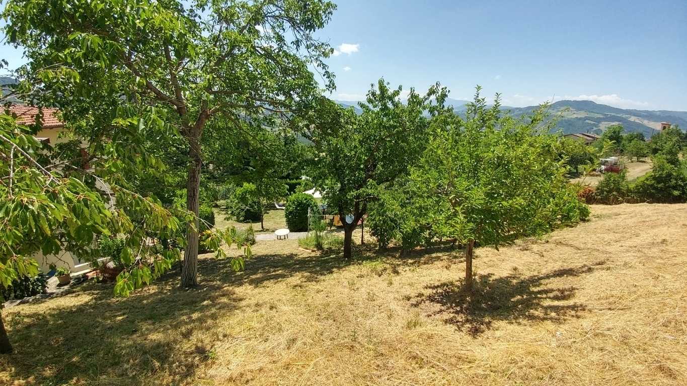 - foto 37