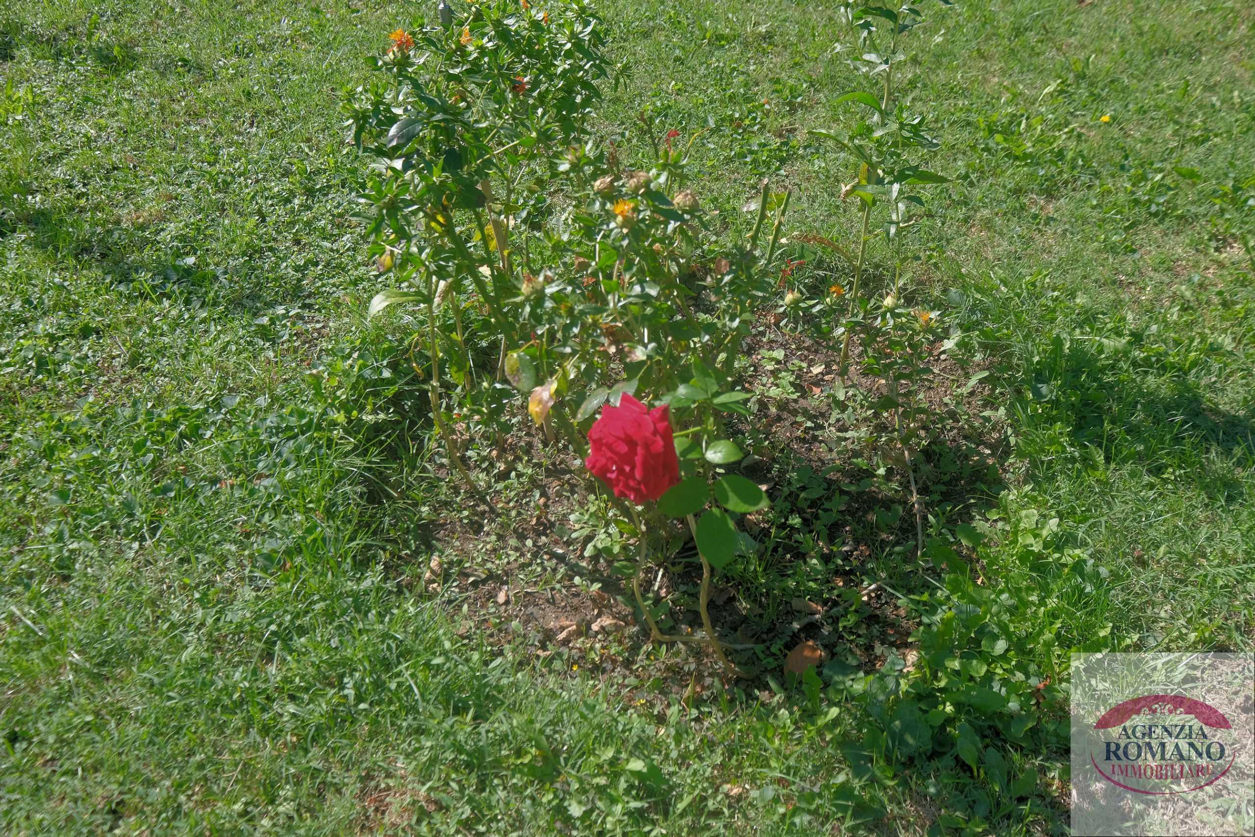  - foto 12