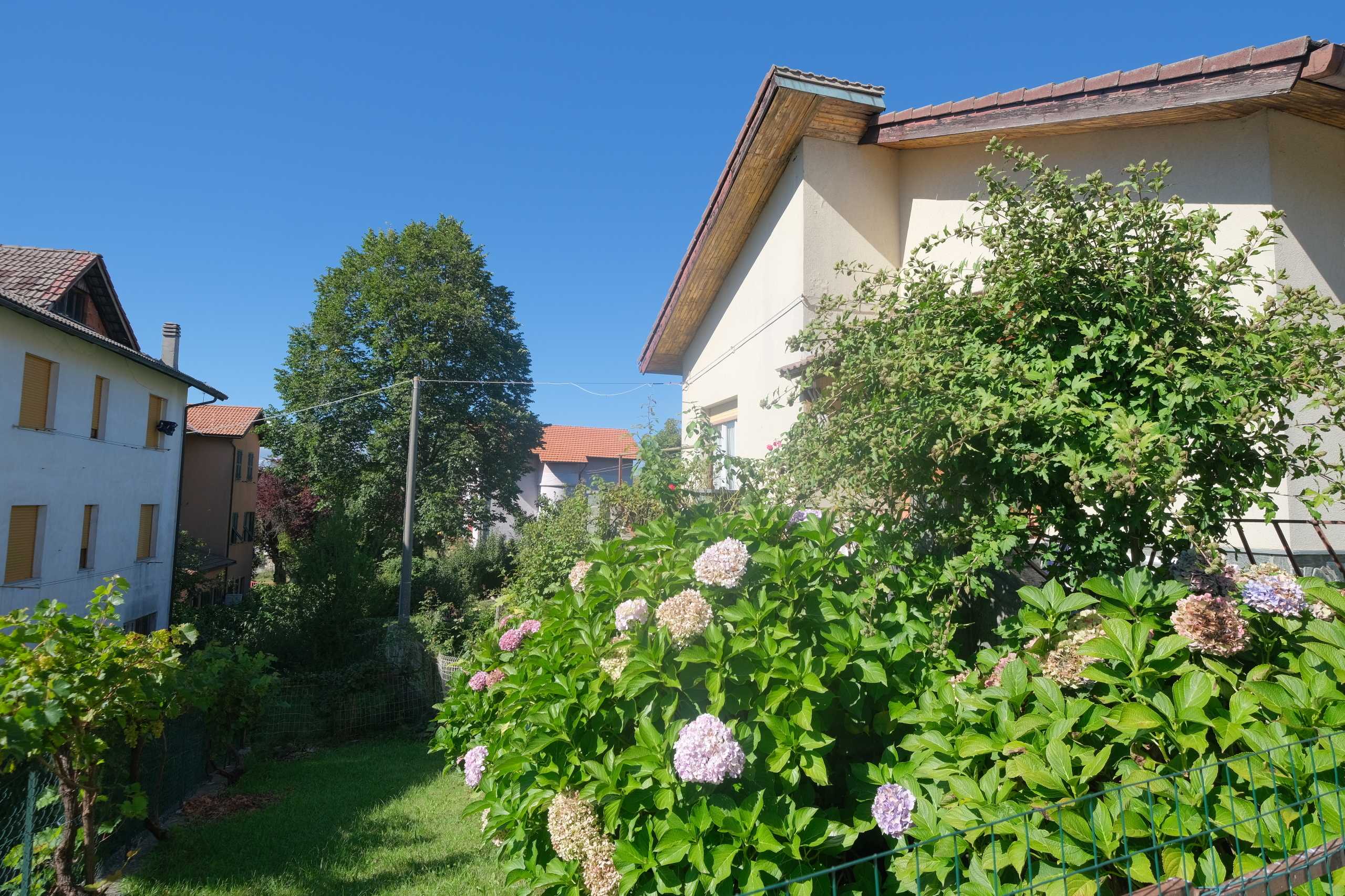  - foto 3