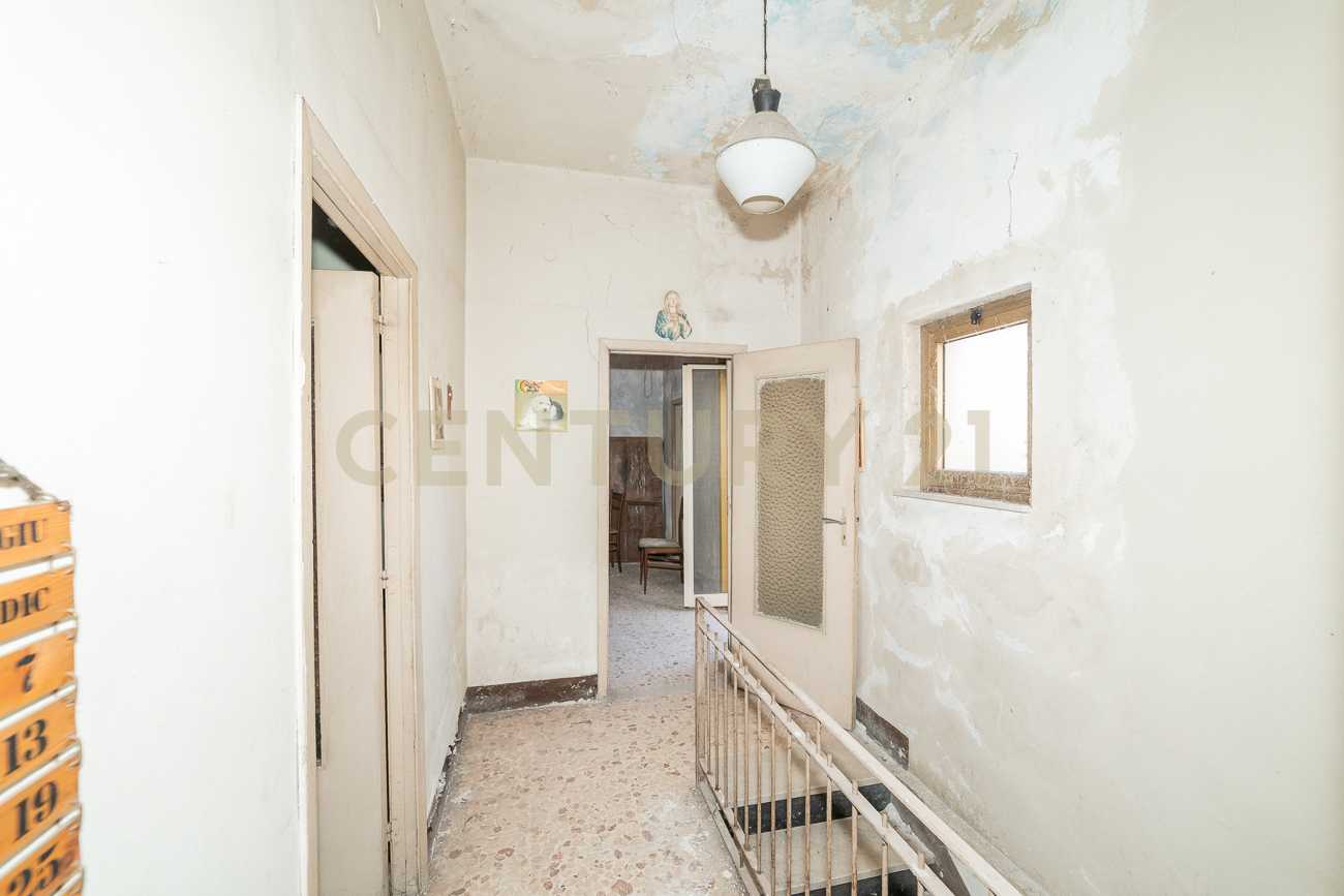  - foto 6