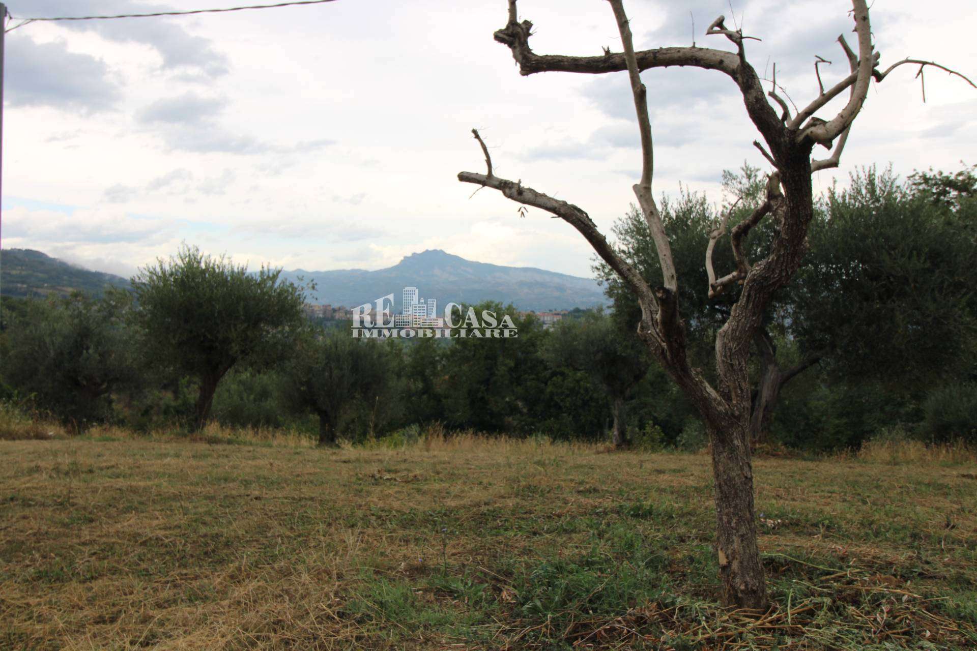 Rustico Zona Galluccio, Folignano