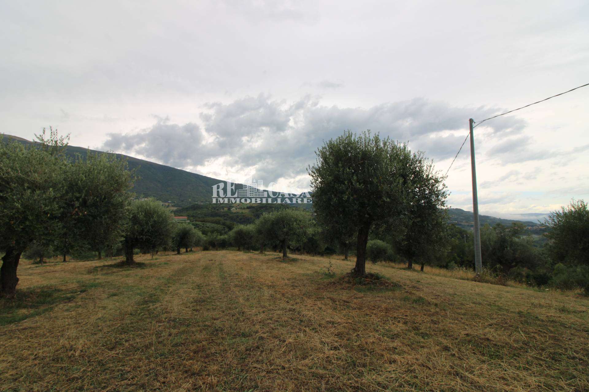  - foto 25
