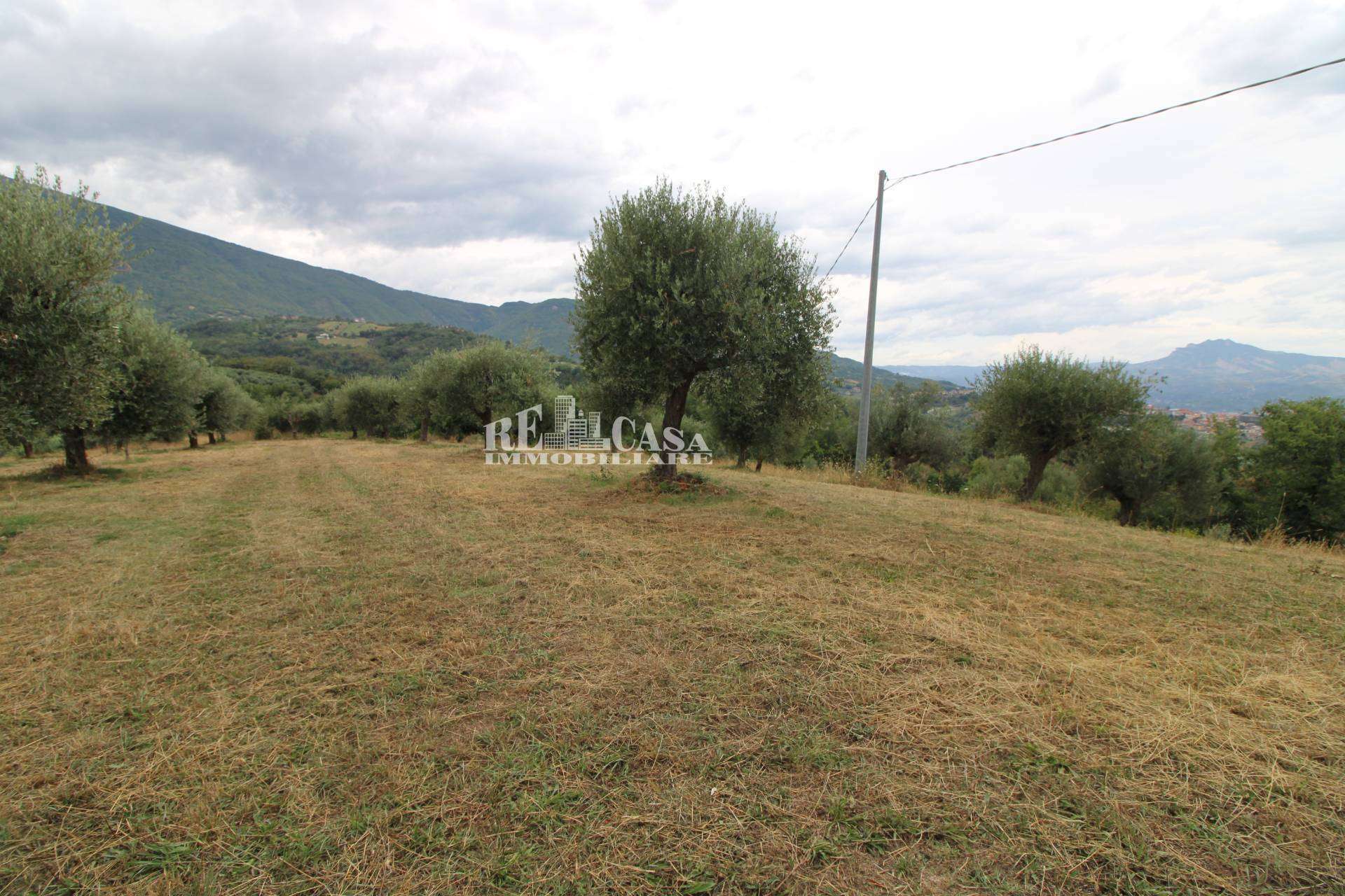  - foto 4