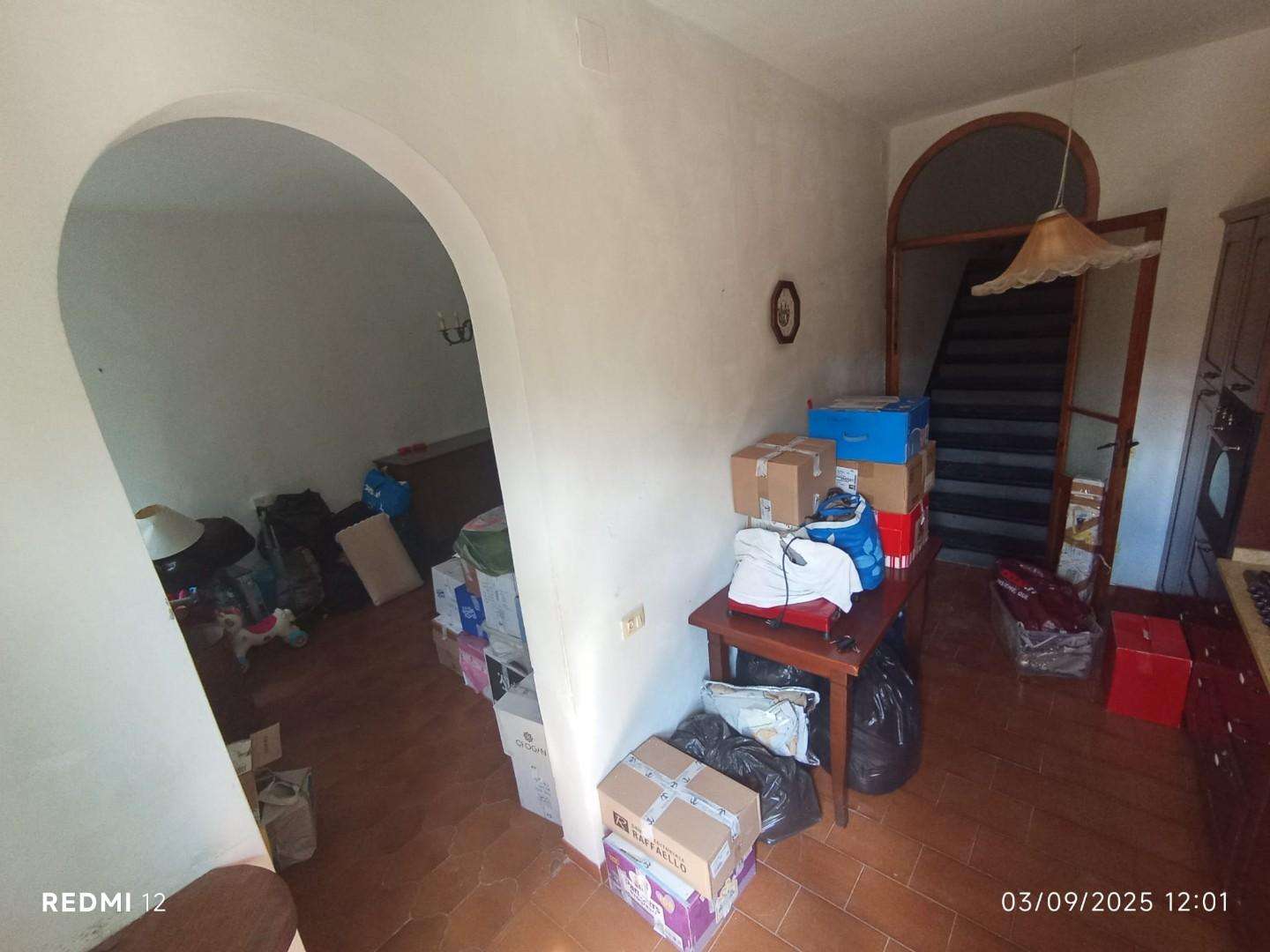 immagine annuncio 8 di 12