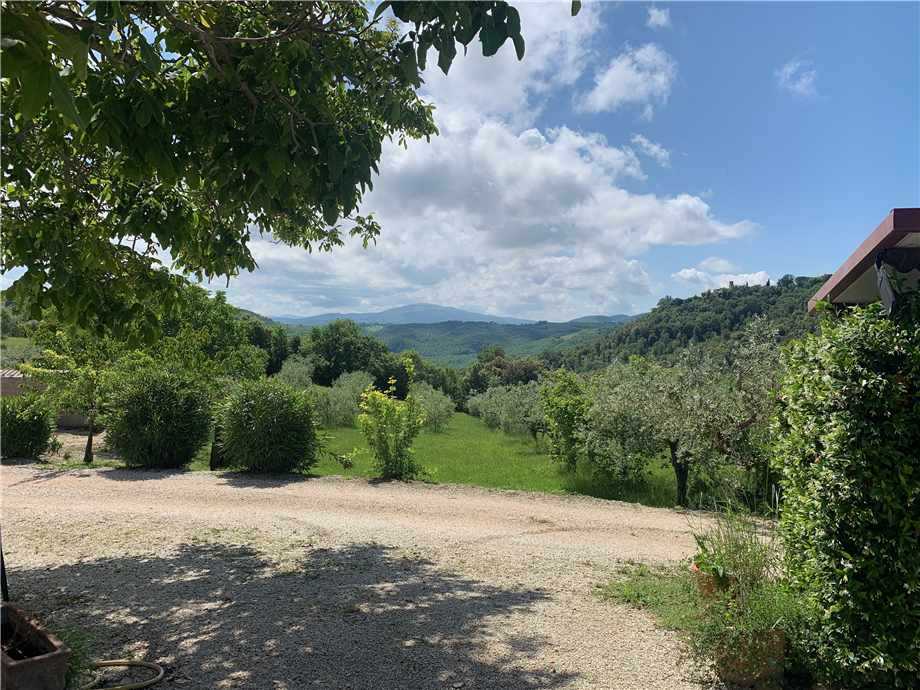  - foto 13