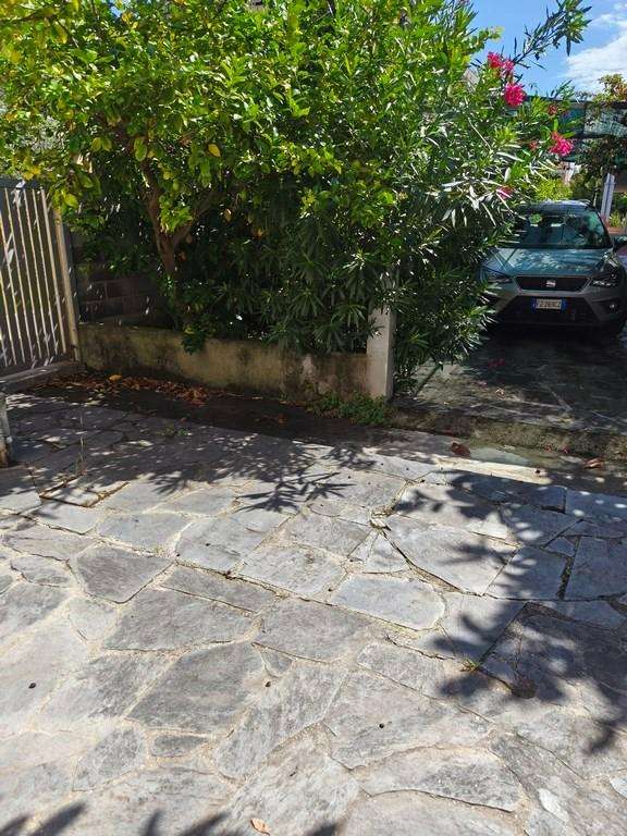  - foto 35
