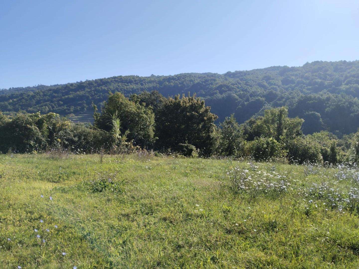  - foto 31