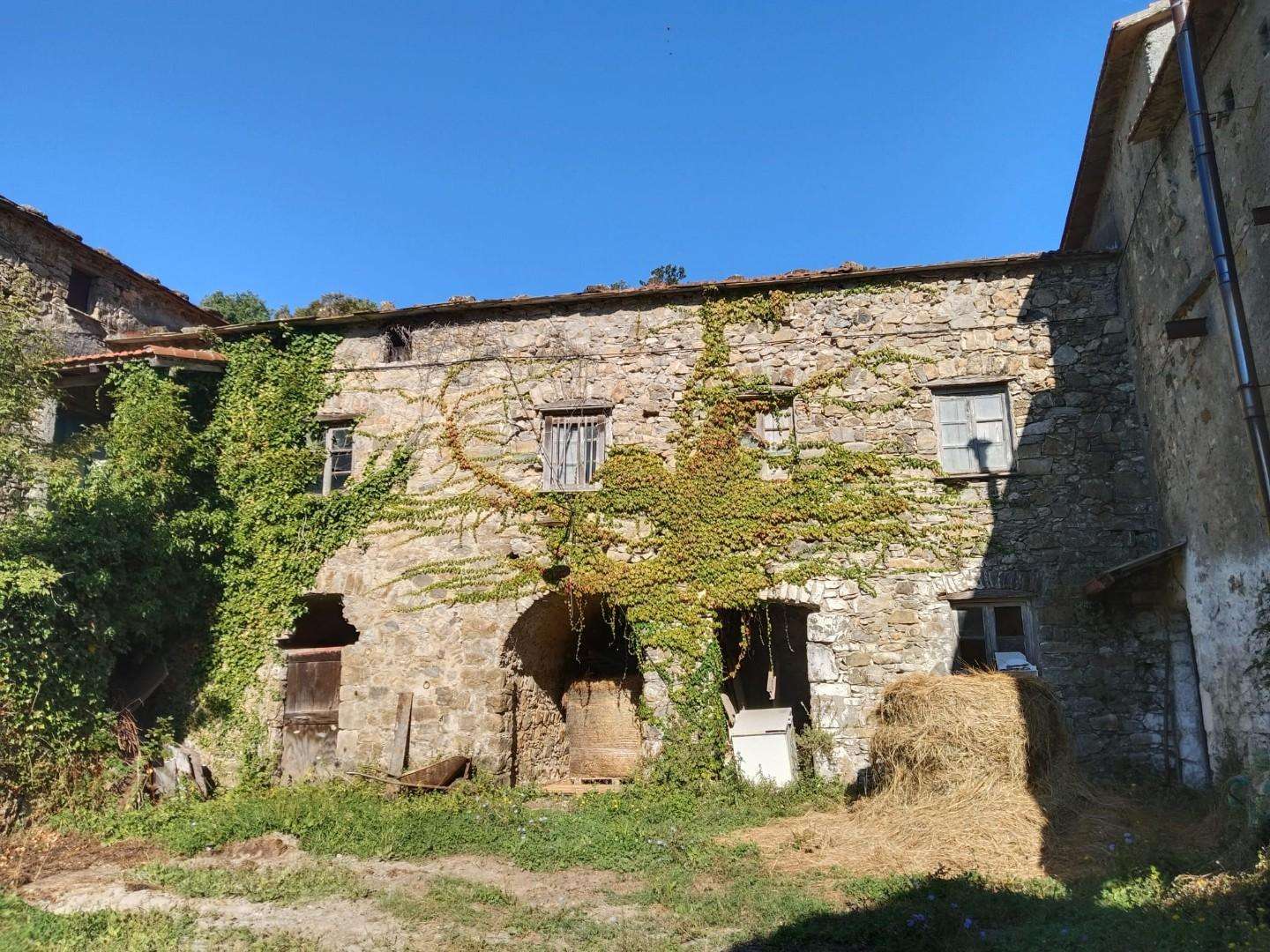  - foto 4