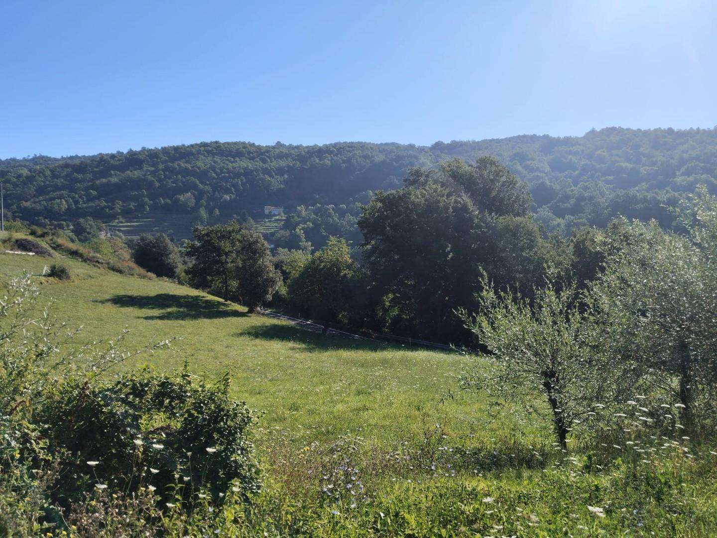  - foto 40
