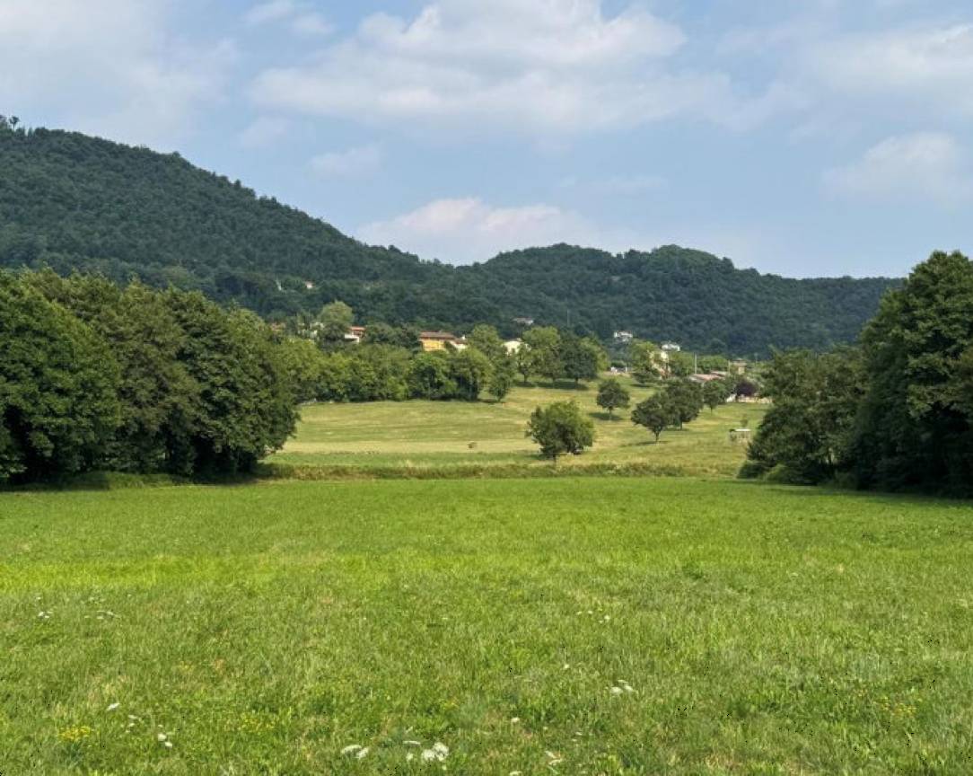 immagine annuncio 5 di 9