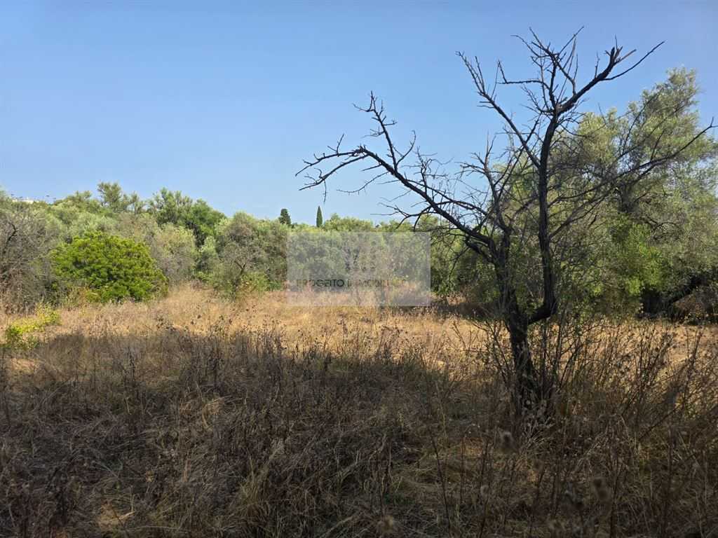  - foto 14