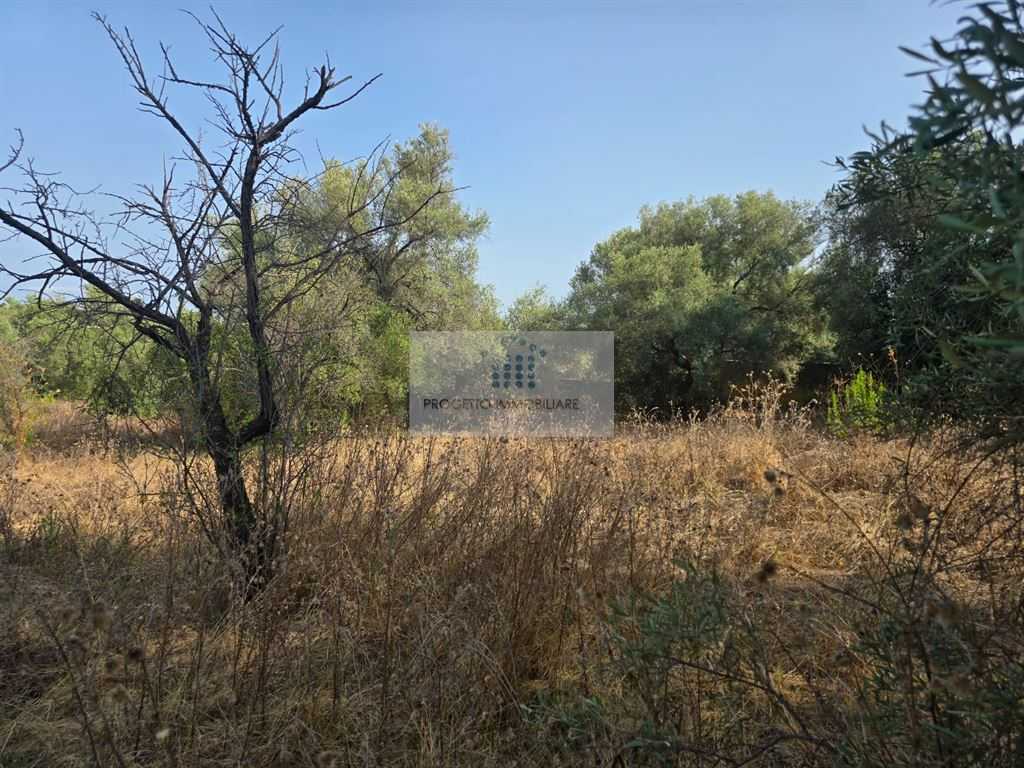  - foto 15