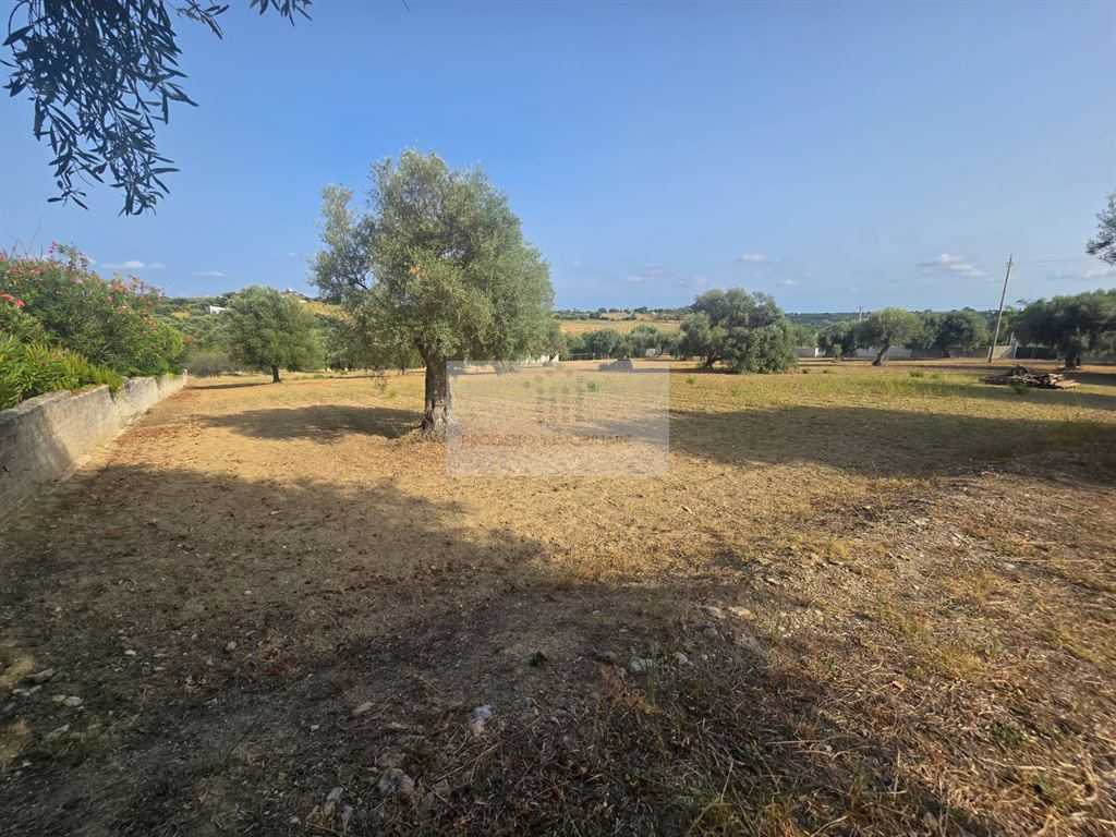  - foto 3
