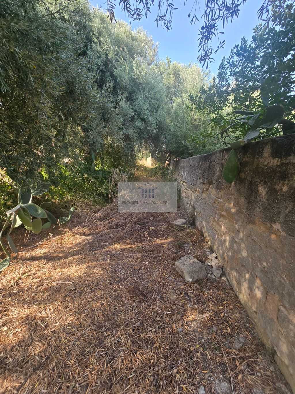  - foto 4