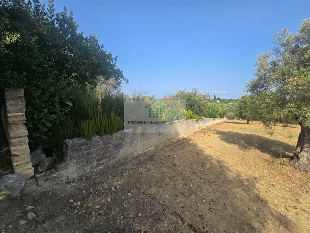  - foto 5