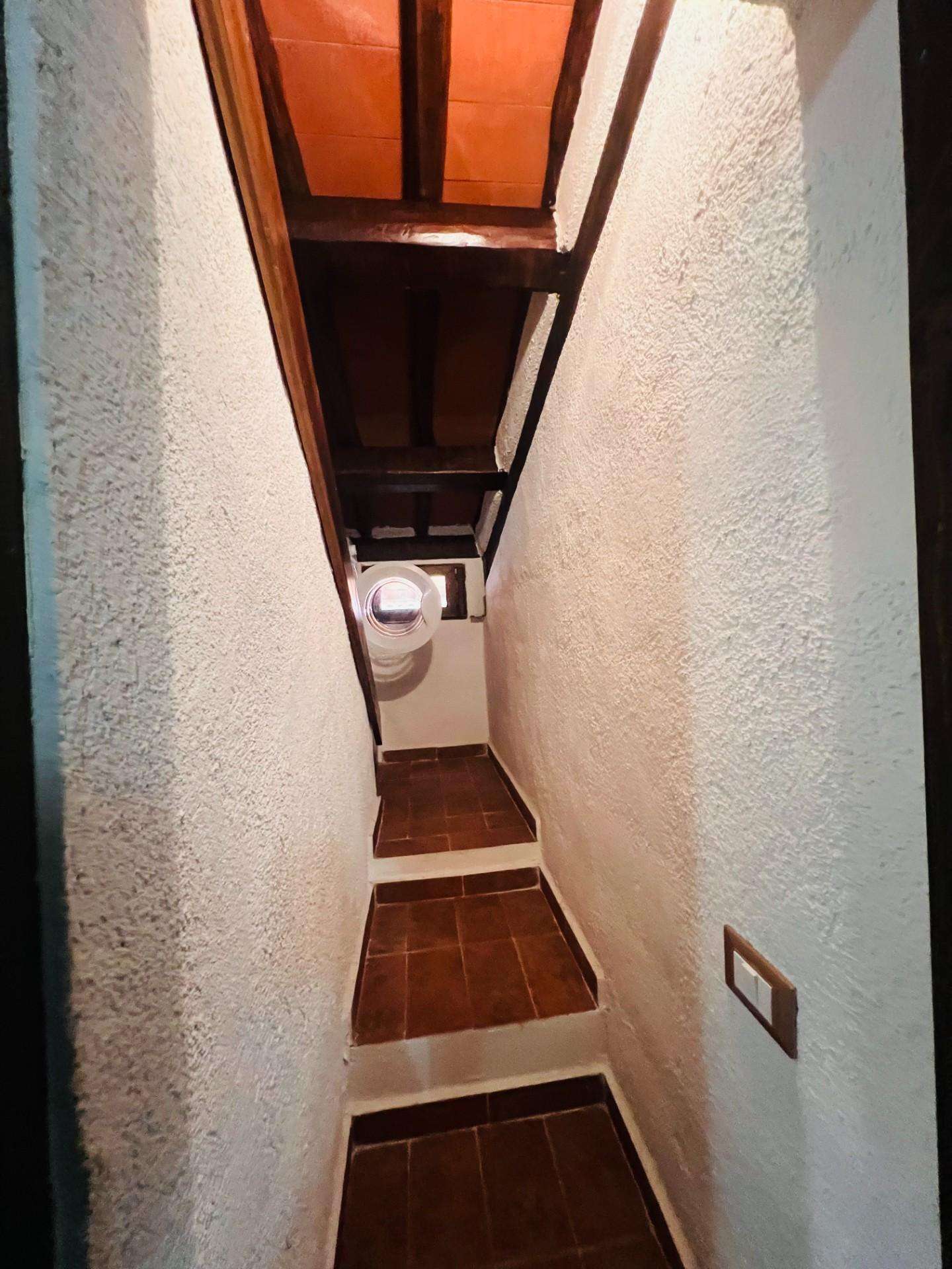  - foto 23