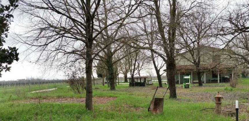 immagine annuncio 4 di 10