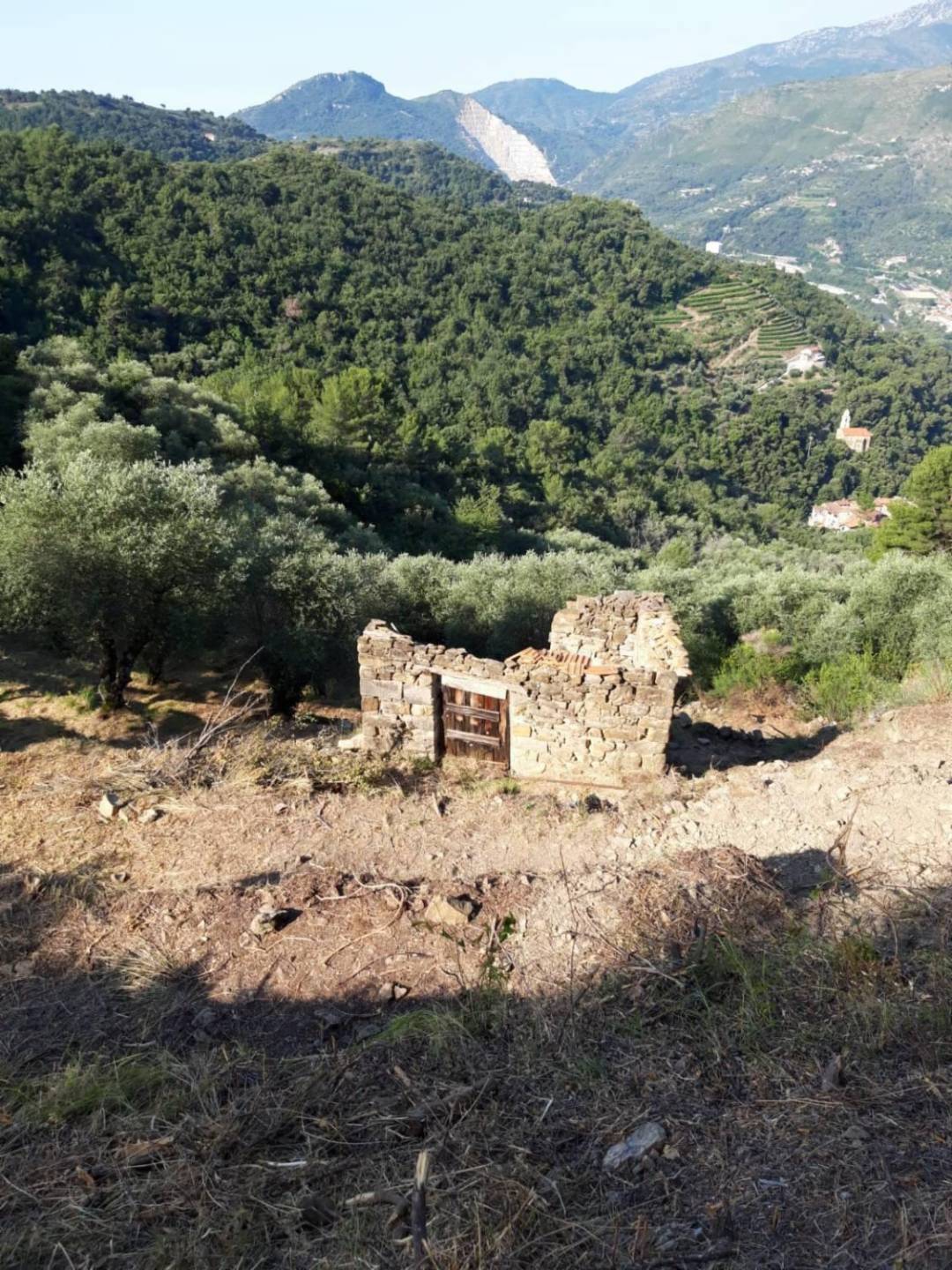 immagine annuncio 2 di 9