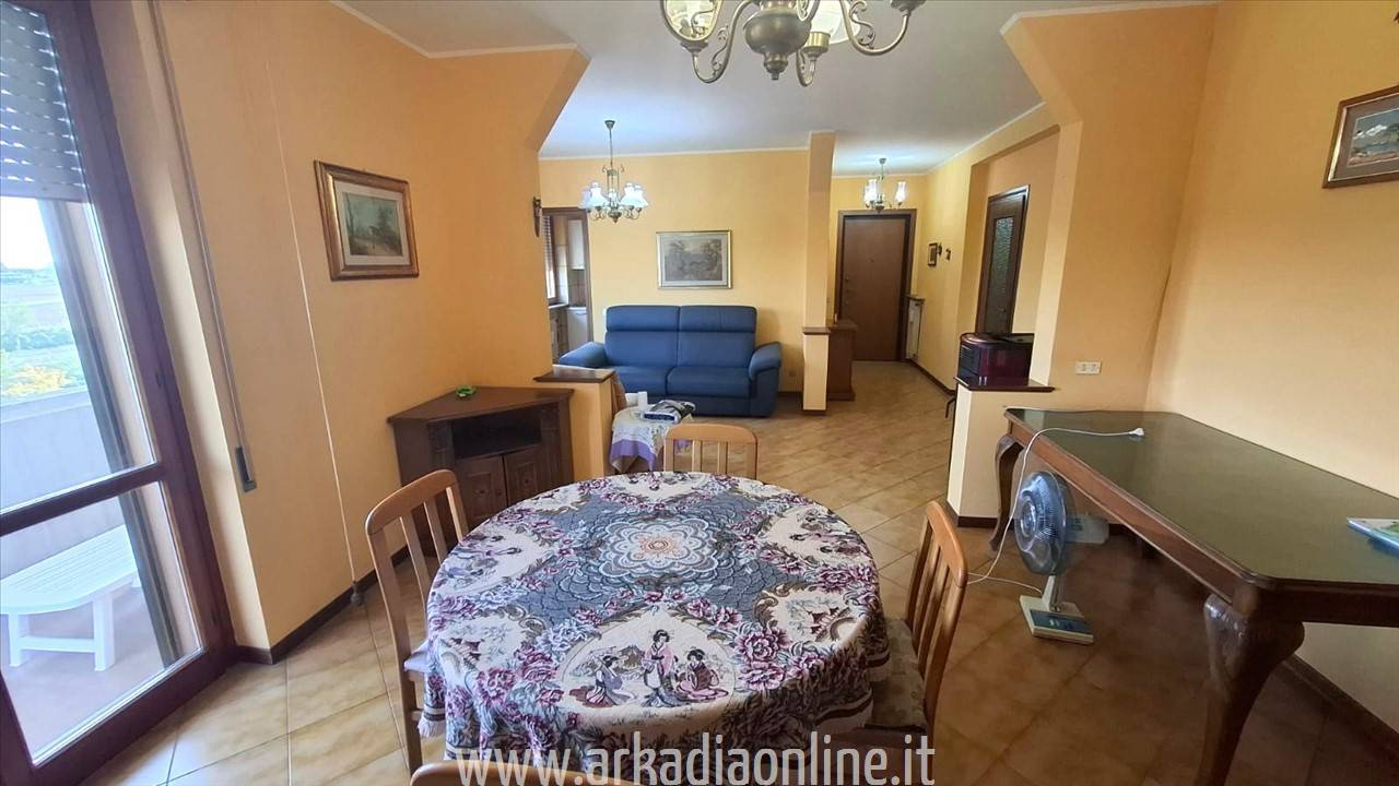 immagine annuncio 4 di 9