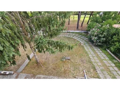  - foto 34