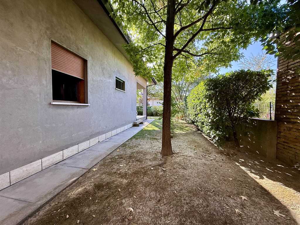  - foto 12