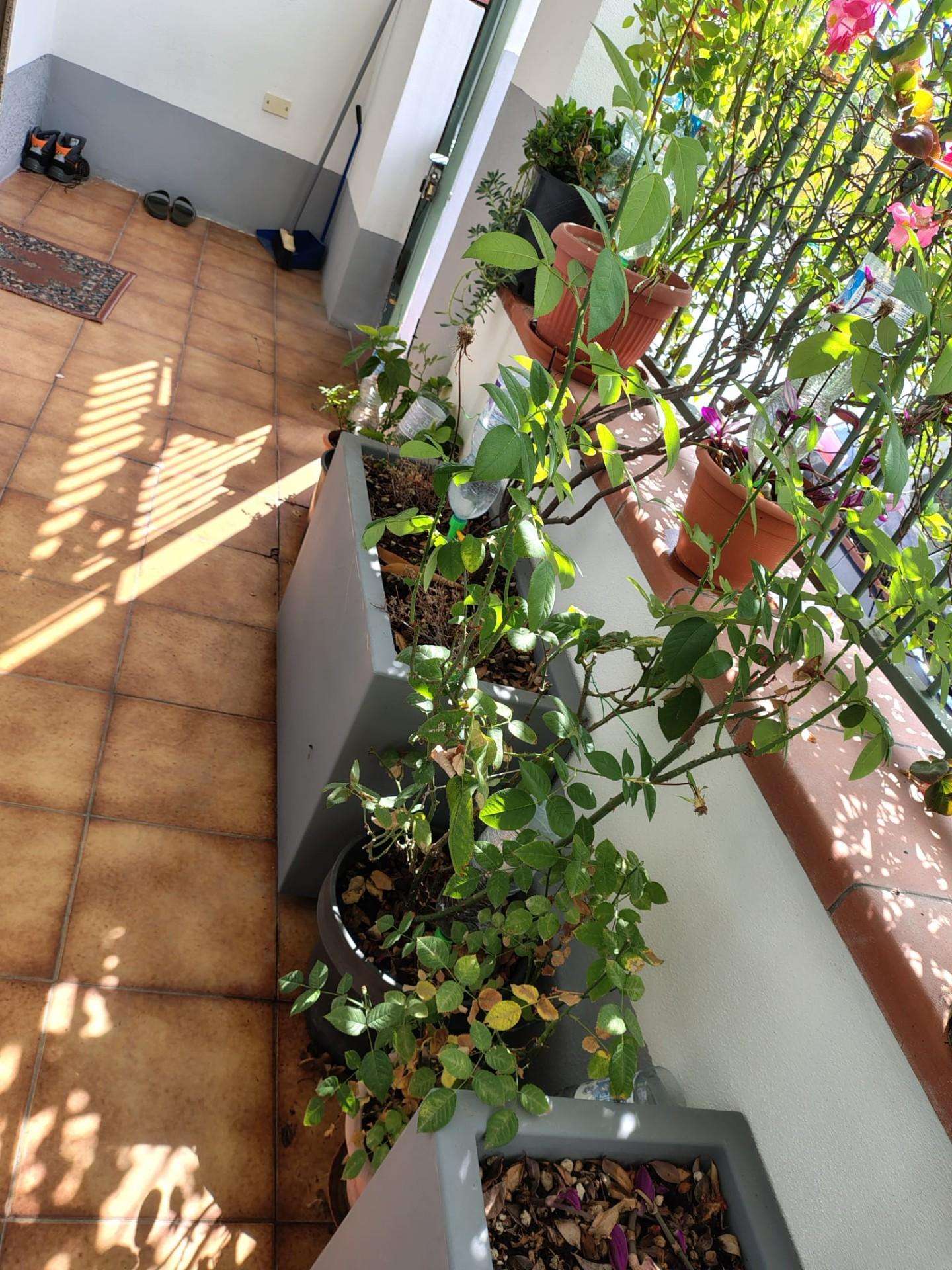  - foto 3