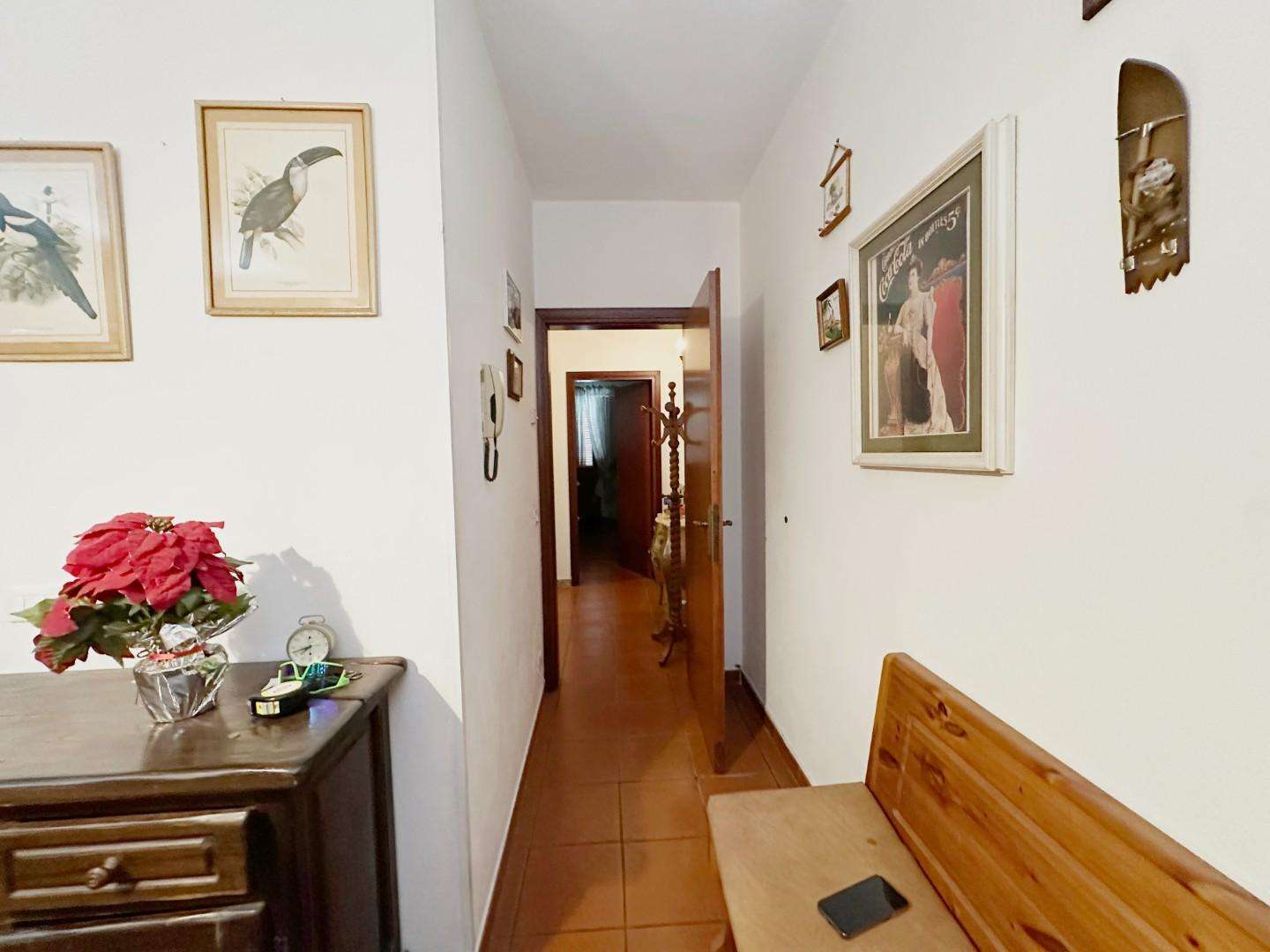  - foto 11