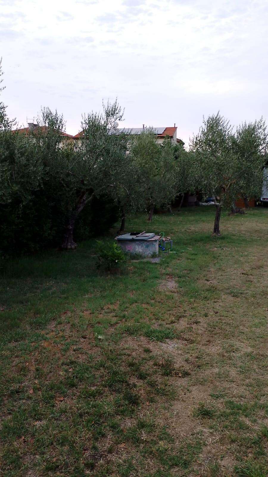  - foto 3