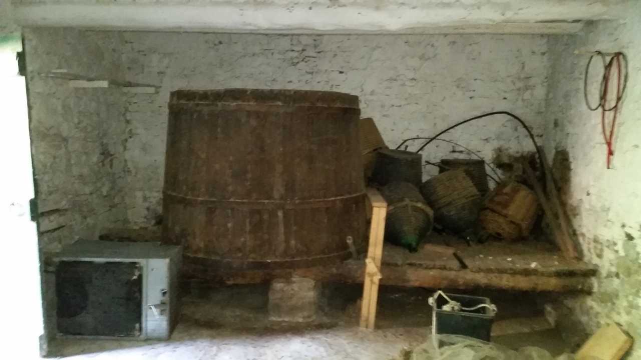  - foto 20